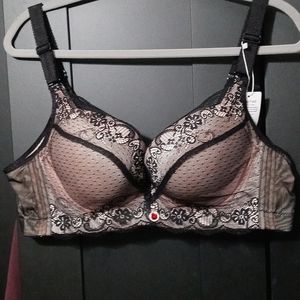 44B pushup bra
